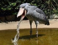 TPOは大事ですよね