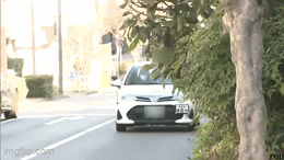 TPOは大事ですよね