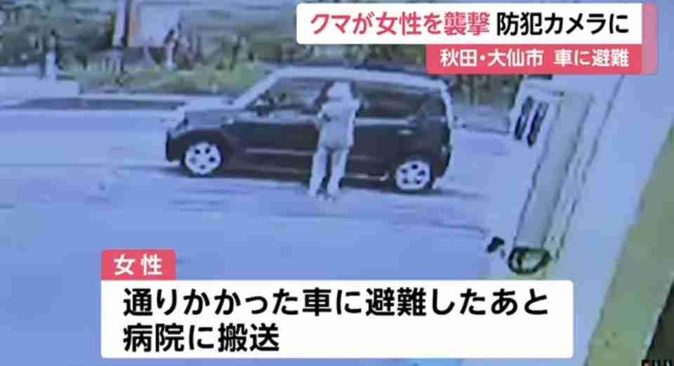 熊が散歩中の80代女性を襲う瞬間が防犯カメラに…女性は顔を引っかかれるが会話できる状態　熊は線路方向に去り警戒続ける　秋田・大仙市