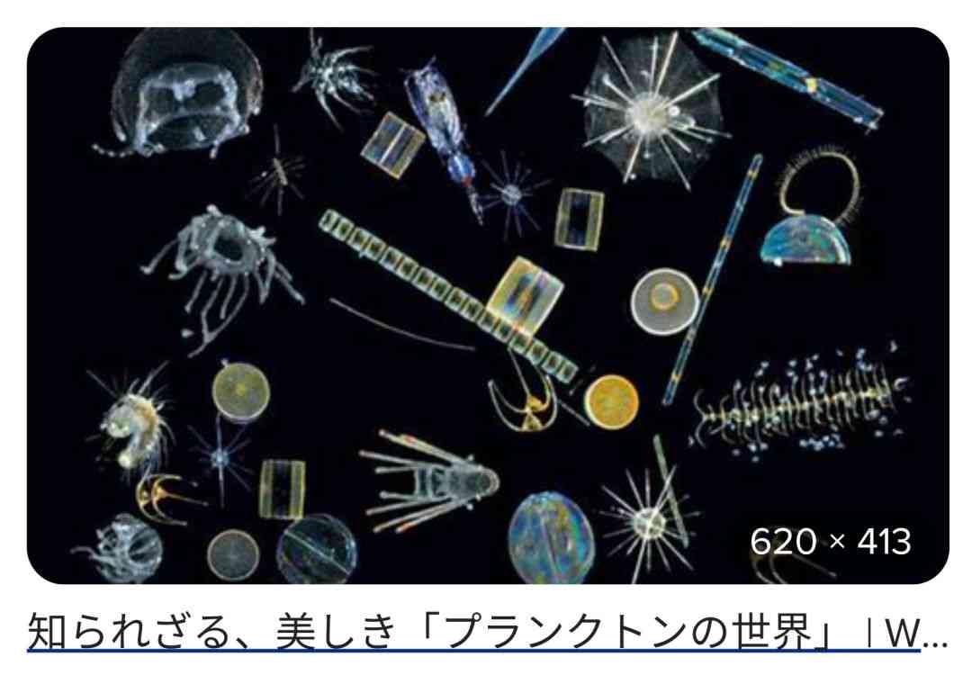 歌詞を書く才能があると思うアーティスト