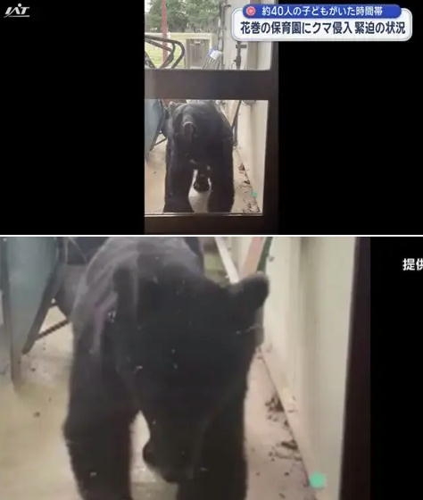 ごみ出し玄関先でクマに襲われる 福島、80代の夫妻が重傷