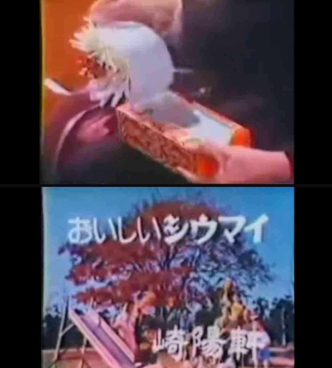 崎陽軒のシウマイ弁当好きな人!