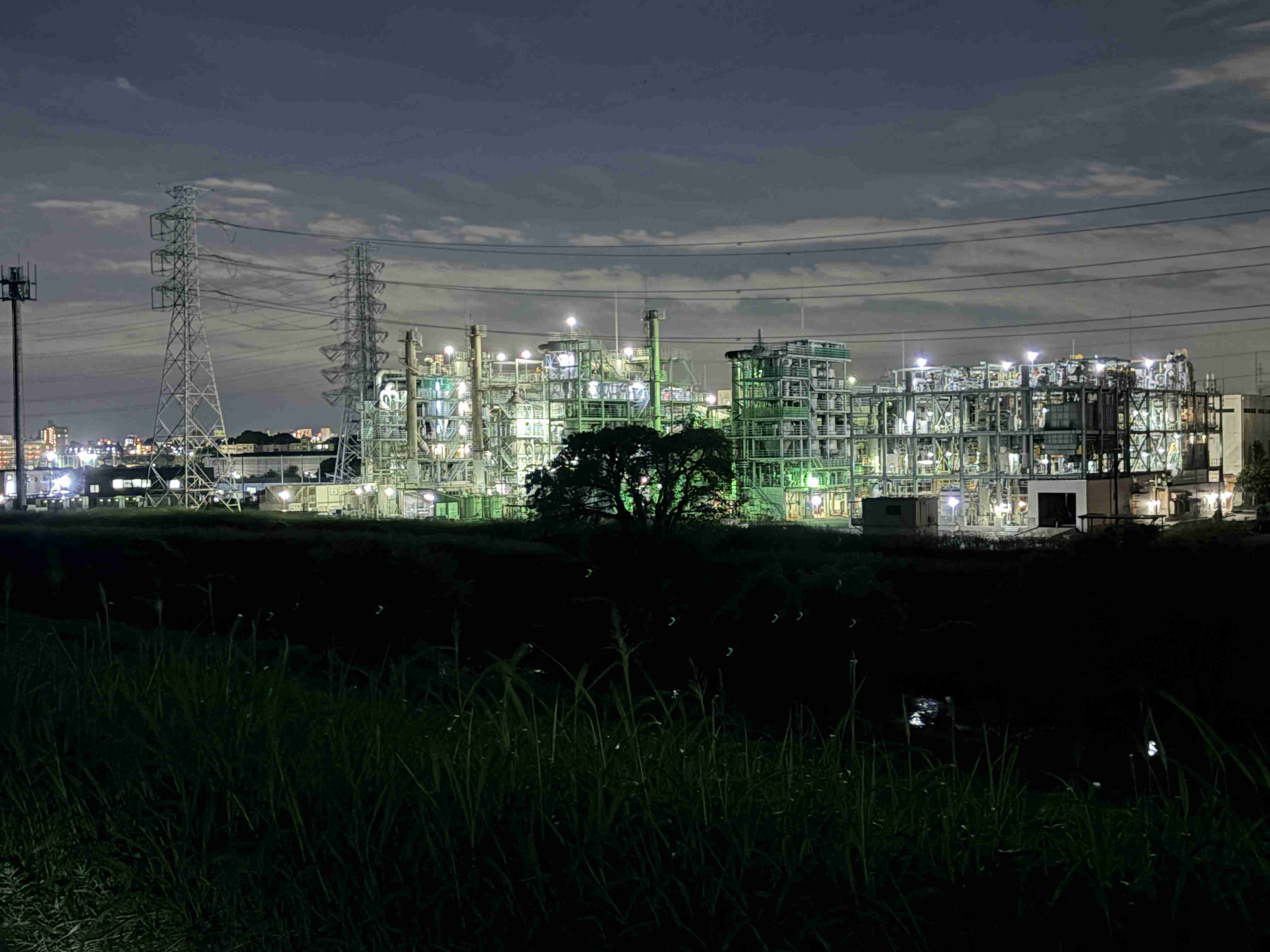 【2025】散歩トピ【秋🍂】