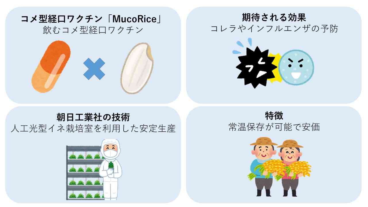 コメ政策転換、26年は減産　高値継続か、供給過剰を懸念