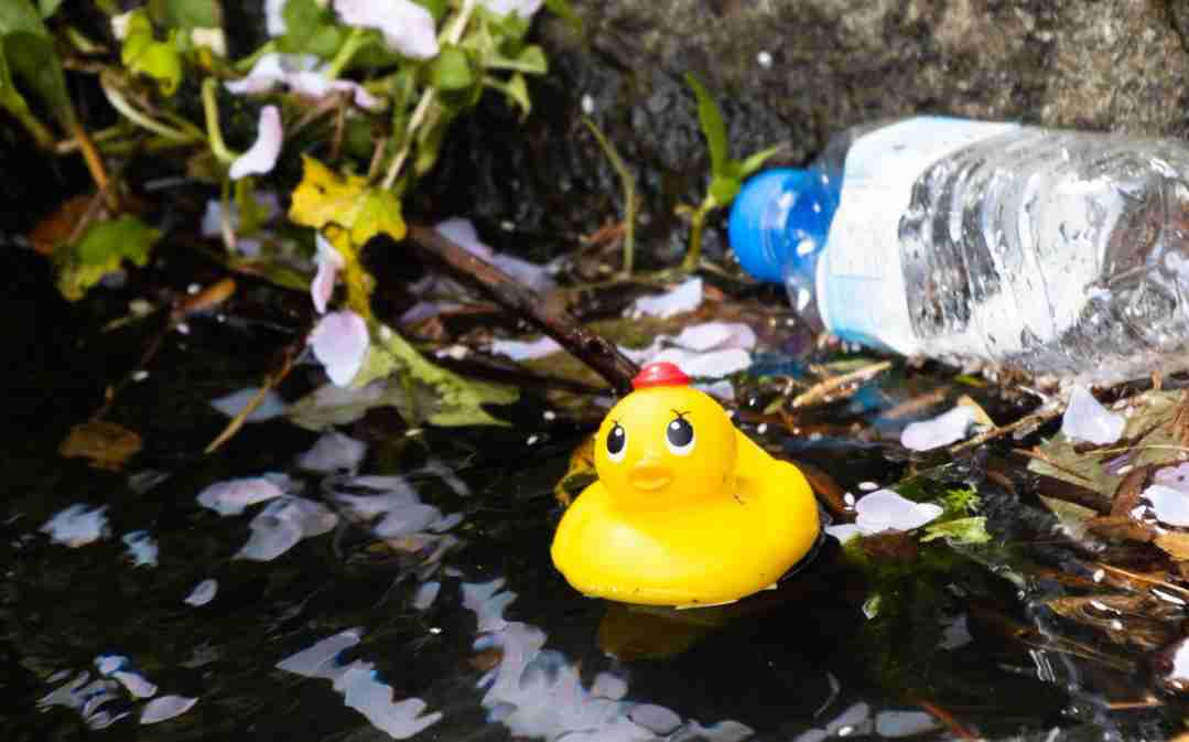 【ドラマ/映画】「美しい彼」を語ろう　Part35