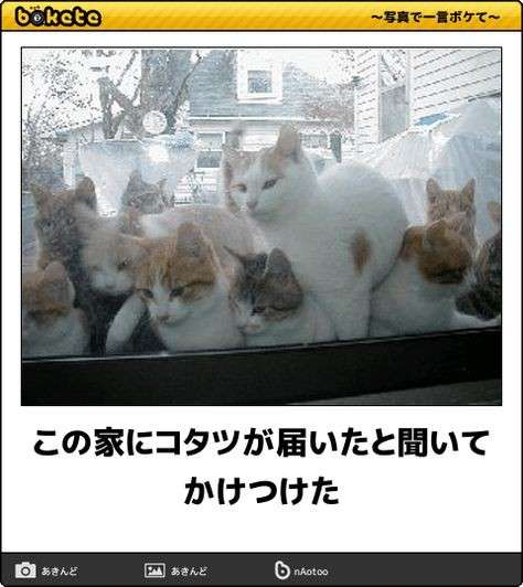 今日、寒すぎませんか?