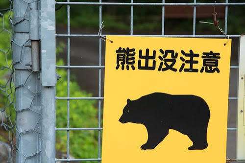 【熊情報共有】岩手県民、集まって話そう【熊対策】