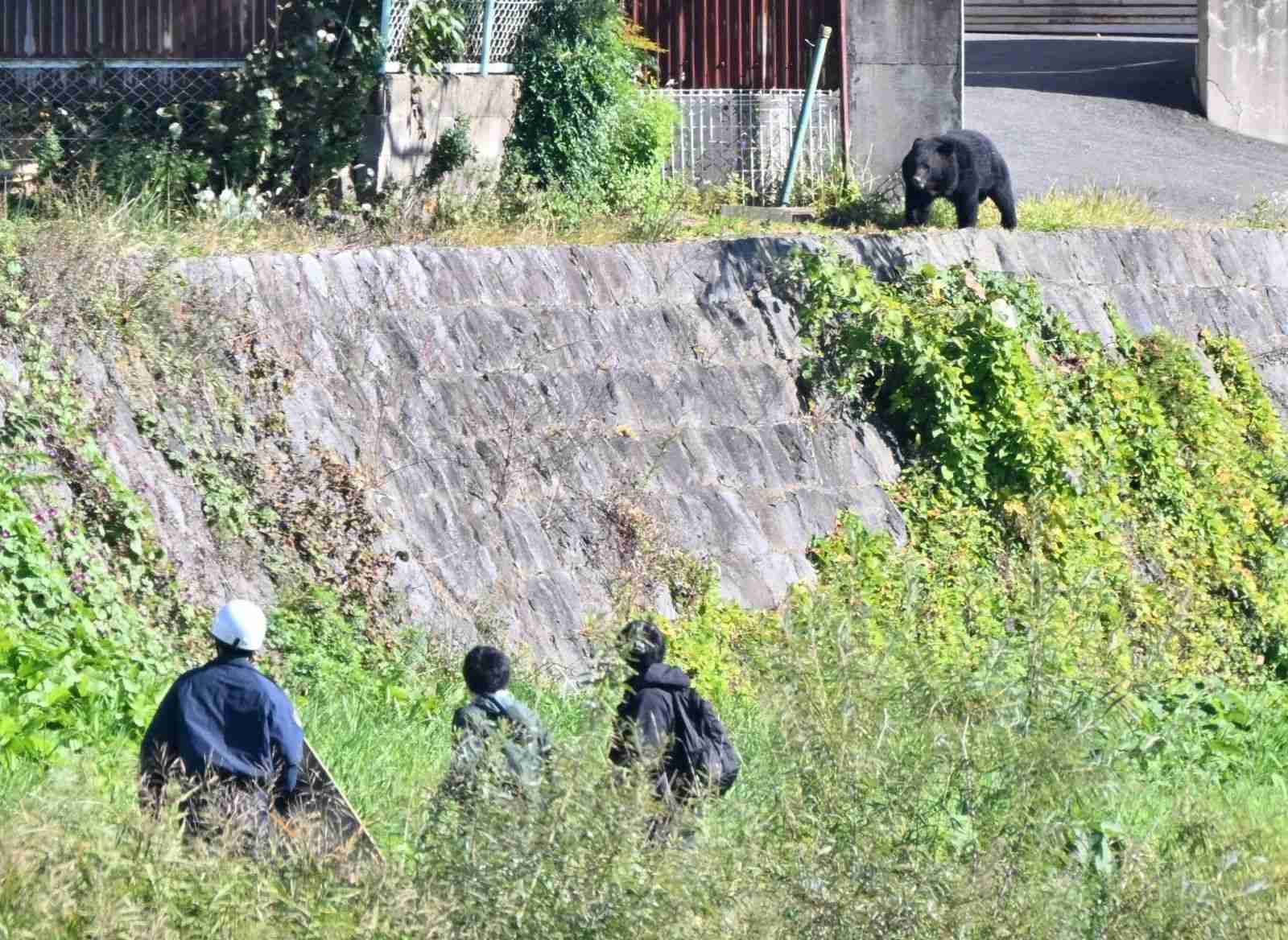 【熊情報共有】岩手県民、集まって話そう【熊対策】
