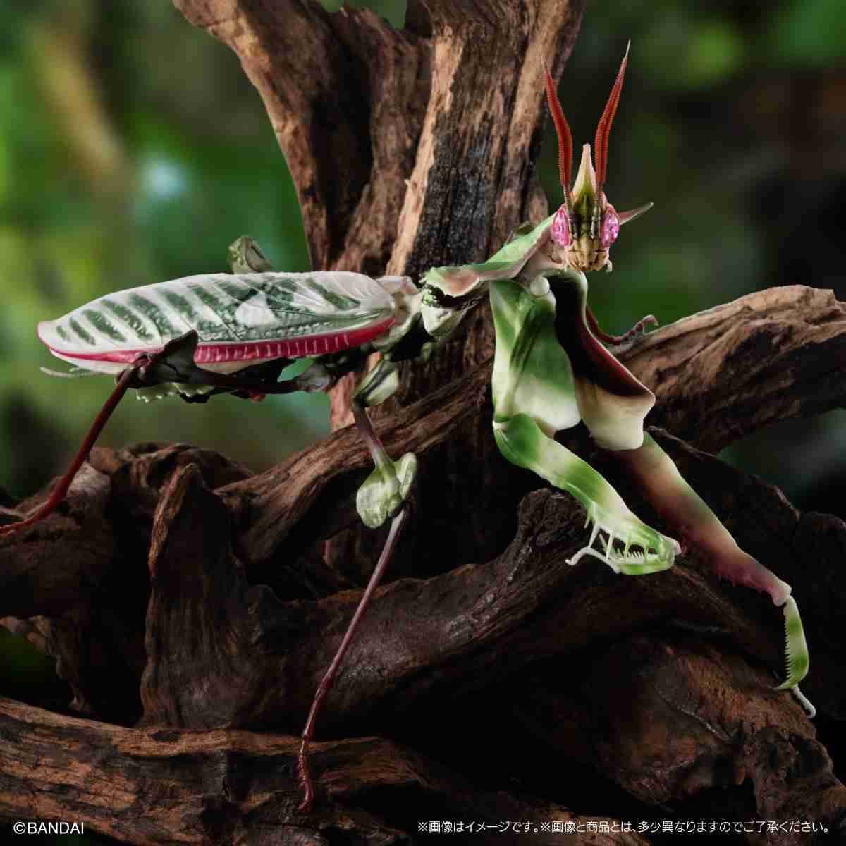 飼うまで知らなかったこと