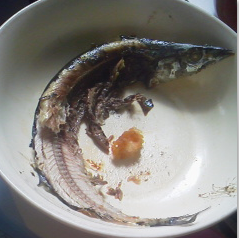 今から食べる（食べる予定など）画像見せてください。