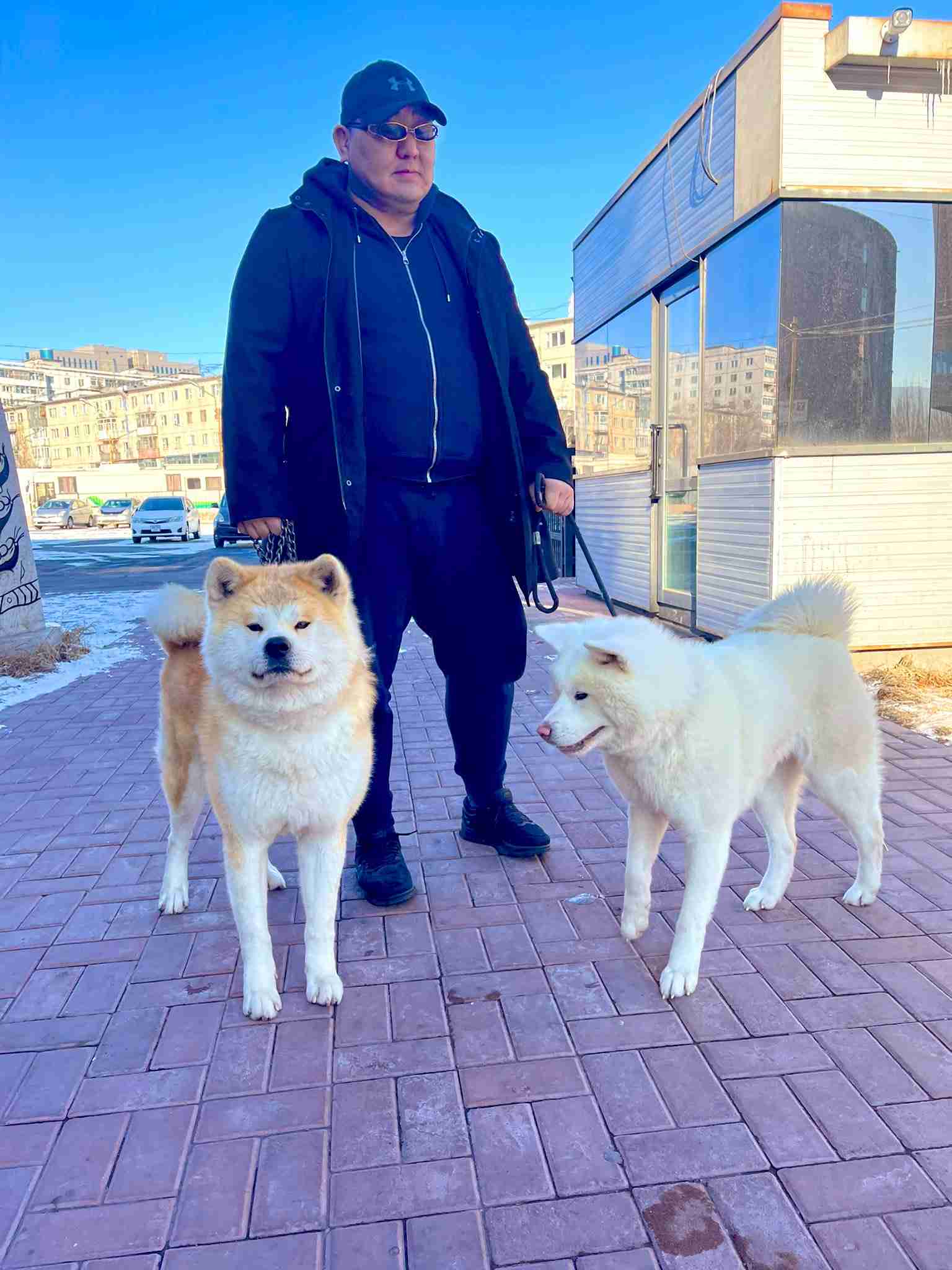 自民党新総裁に高市早苗氏 女性の総裁就任は初