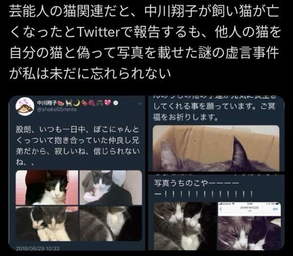 双子出産の中川翔子、夫の「初登場」報告　“手だけ”に反響「これだけで人柄が分かる気がする」