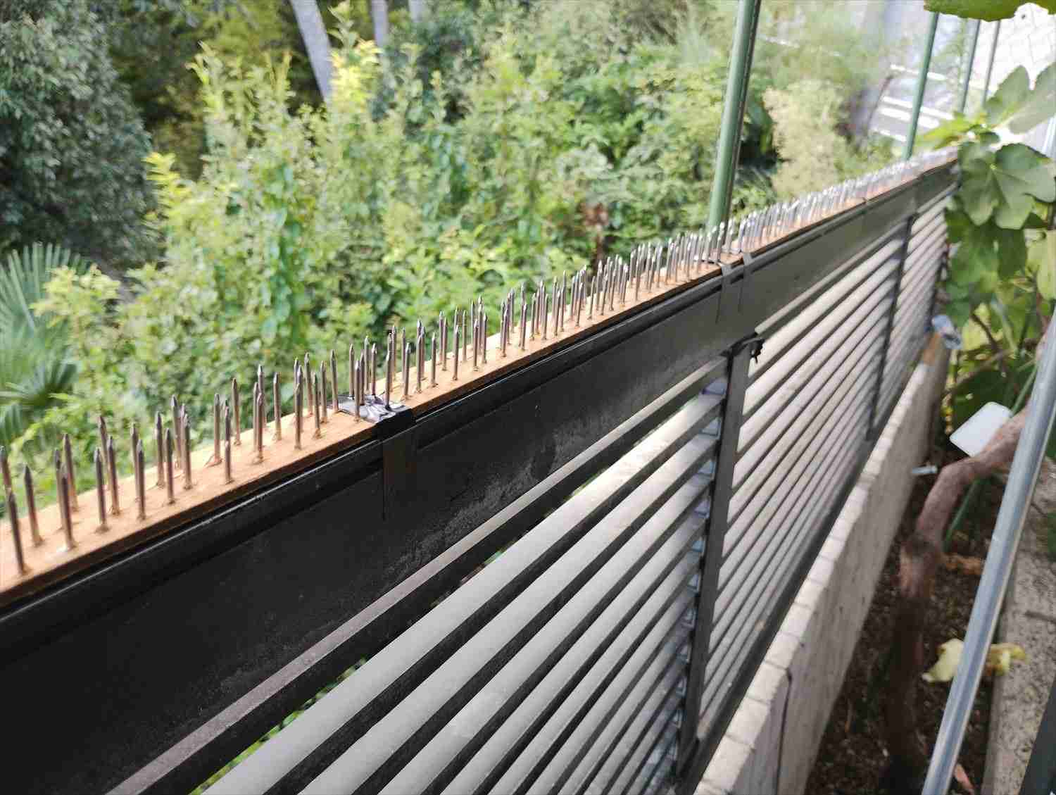 🔪💰強盗対策してますか〜？