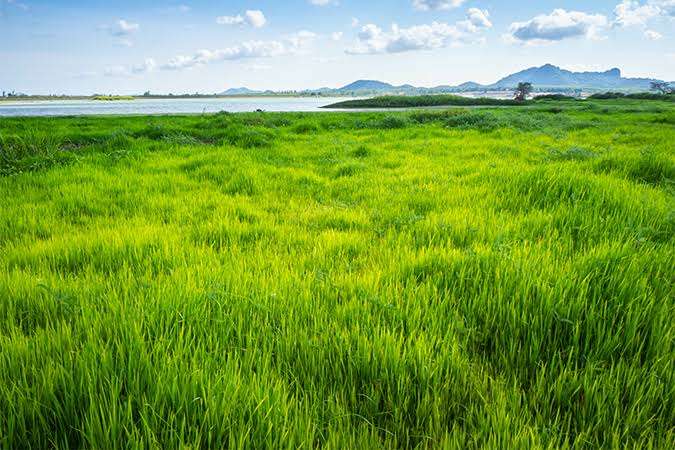 自然に癒されたり心が洗われたりした体験