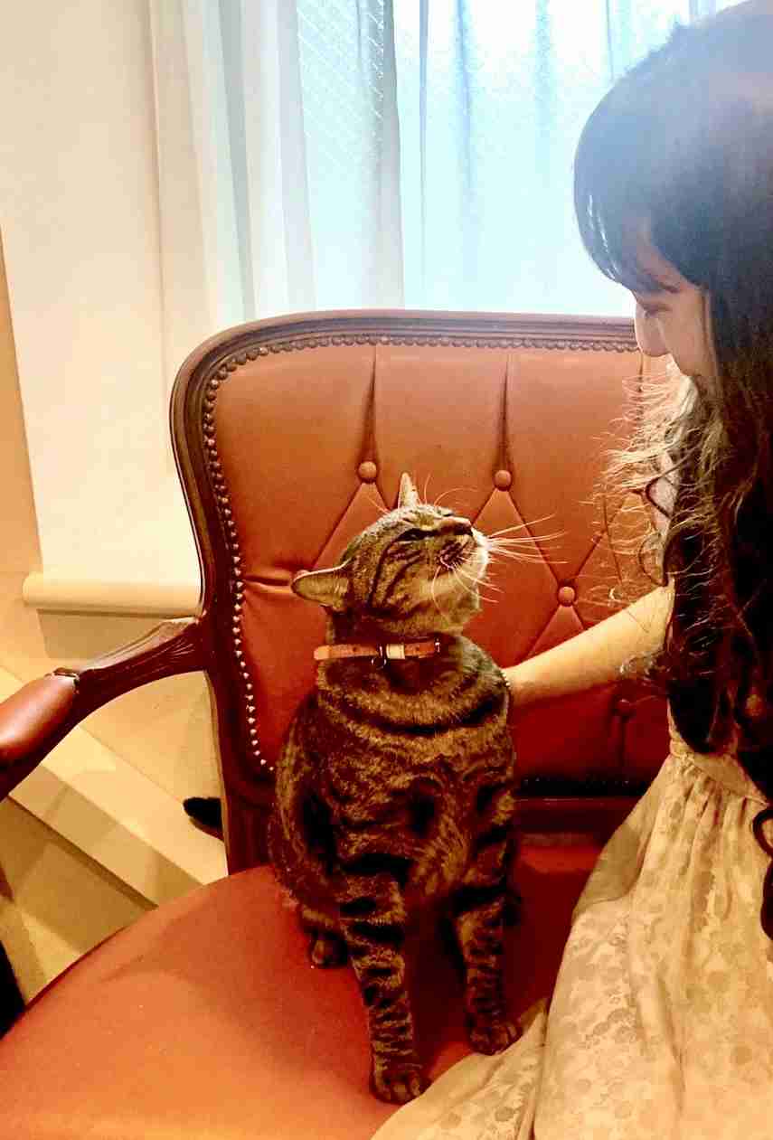 人間と動物が一緒に写ってる画像トピ