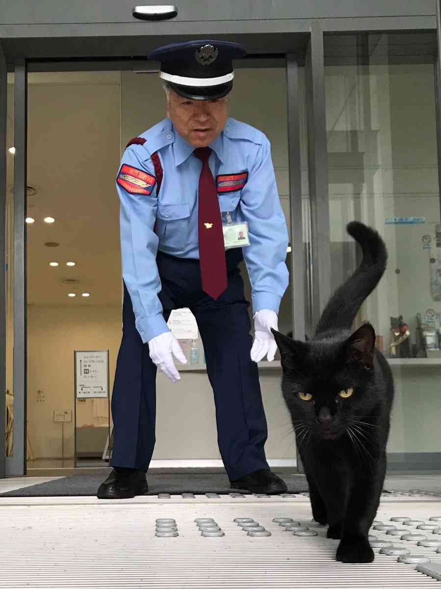 人間と動物が一緒に写ってる画像トピ
