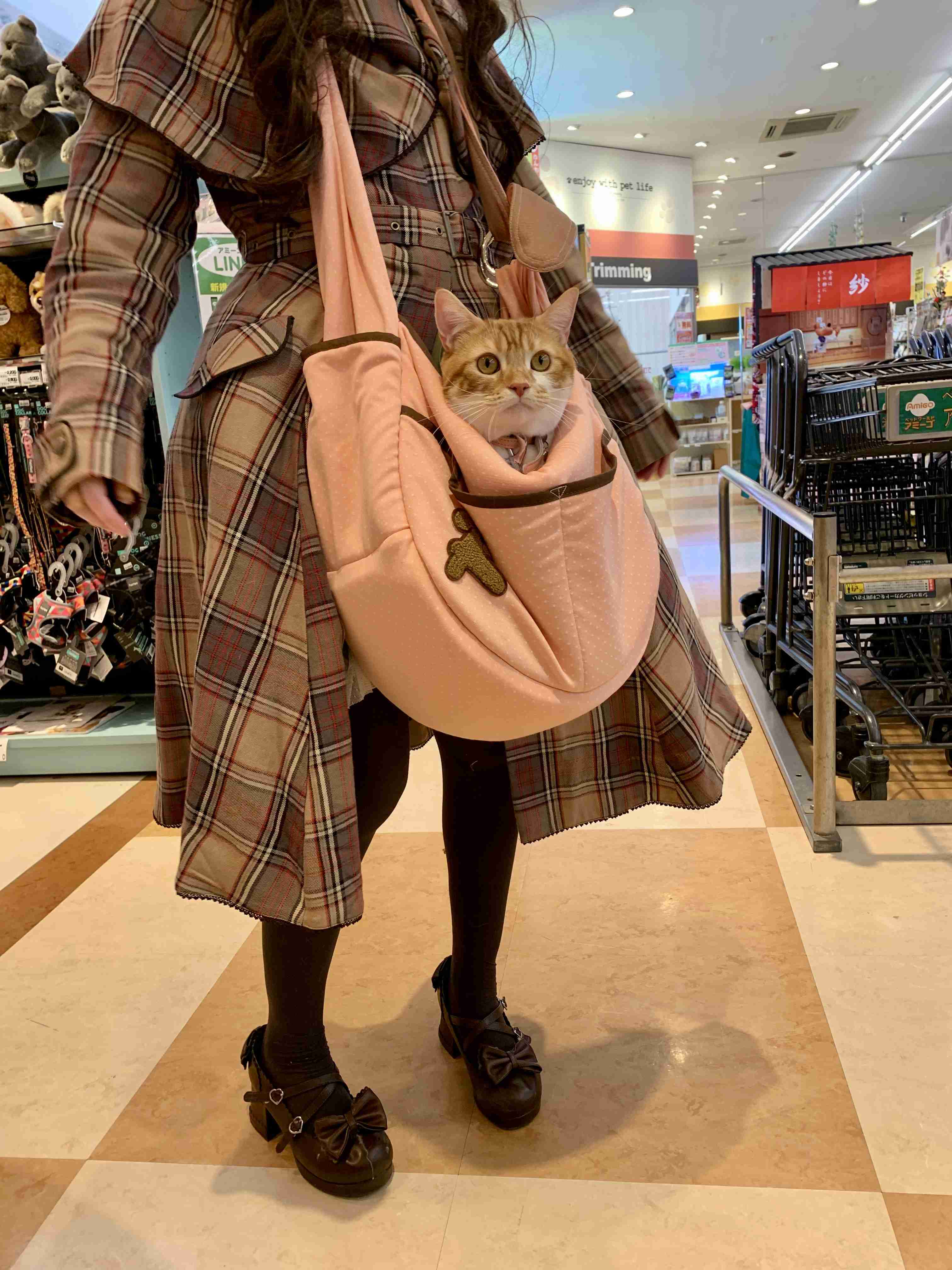 人間と動物が一緒に写ってる画像トピ