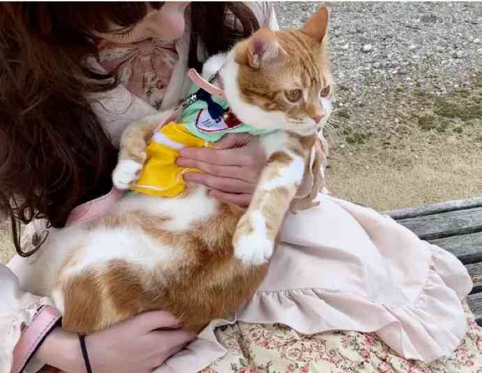 人間と動物が一緒に写ってる画像トピ