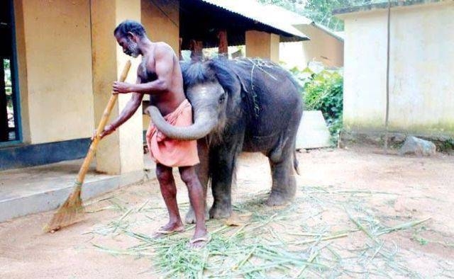 人間と動物が一緒に写ってる画像トピ
