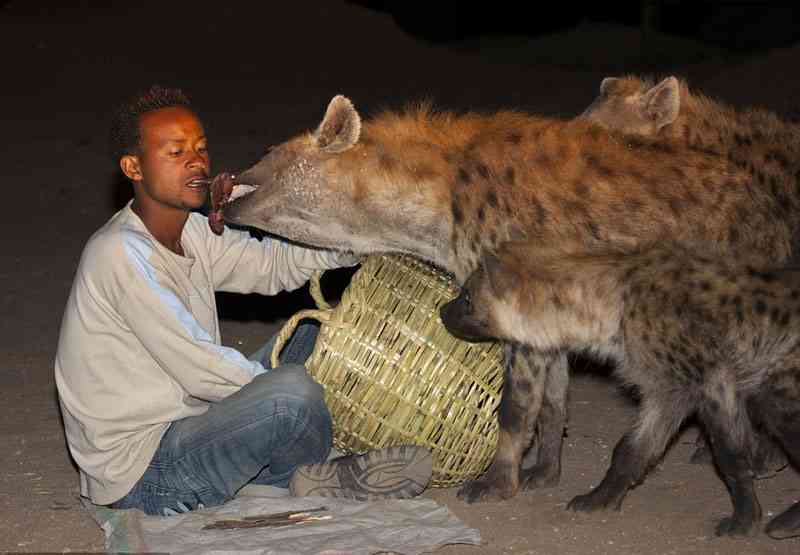 人間と動物が一緒に写ってる画像トピ