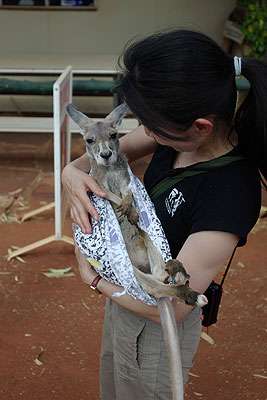 人間と動物が一緒に写ってる画像トピ