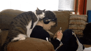 人間と動物が一緒に写ってる画像トピ