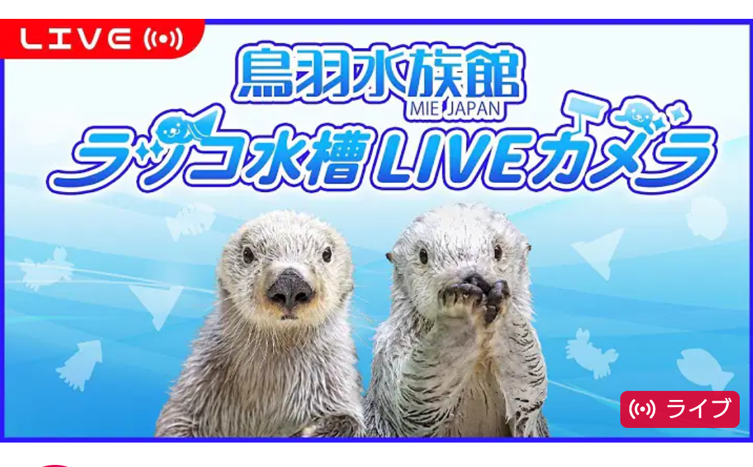 【暇つぶしトピ】登録しているYouTube、被ったら素敵やん✨