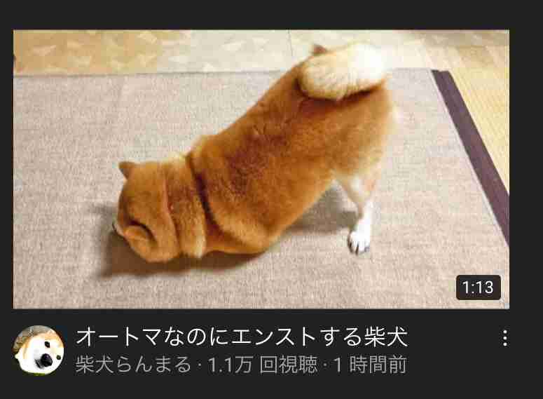 【暇つぶしトピ】登録しているYouTube、被ったら素敵やん✨