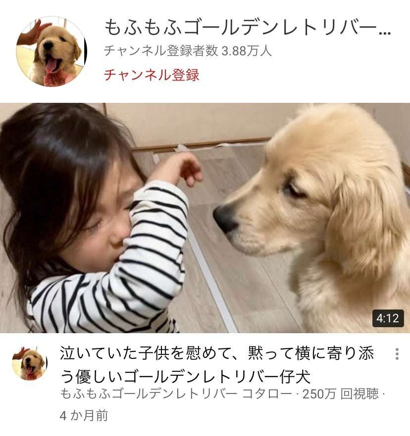 【暇つぶしトピ】登録しているYouTube、被ったら素敵やん✨