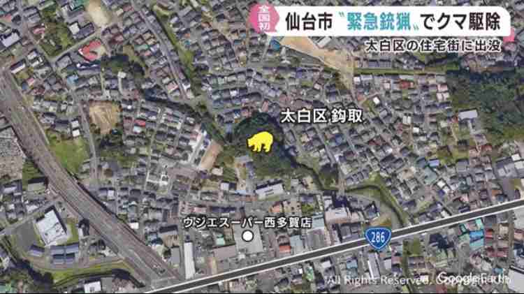 全国初の「緊急銃猟」　仙台・太白区の住宅街に出没したクマを駆除、市街地での緊急の猟銃使用を許可