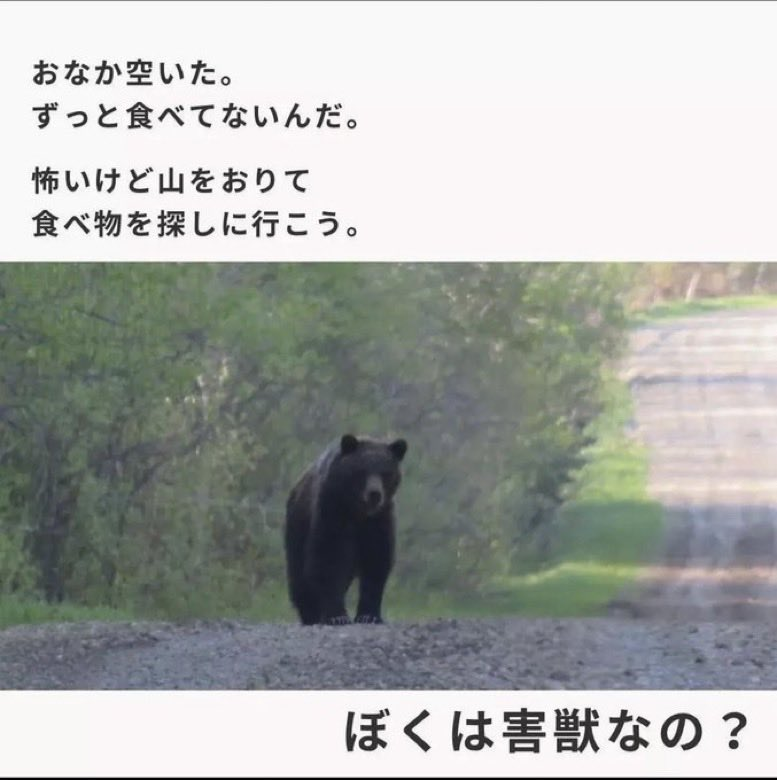 岩手・北上市の山林で発見された遺体は行方不明だった温泉勤務の60歳従業員　クマに襲われ死亡