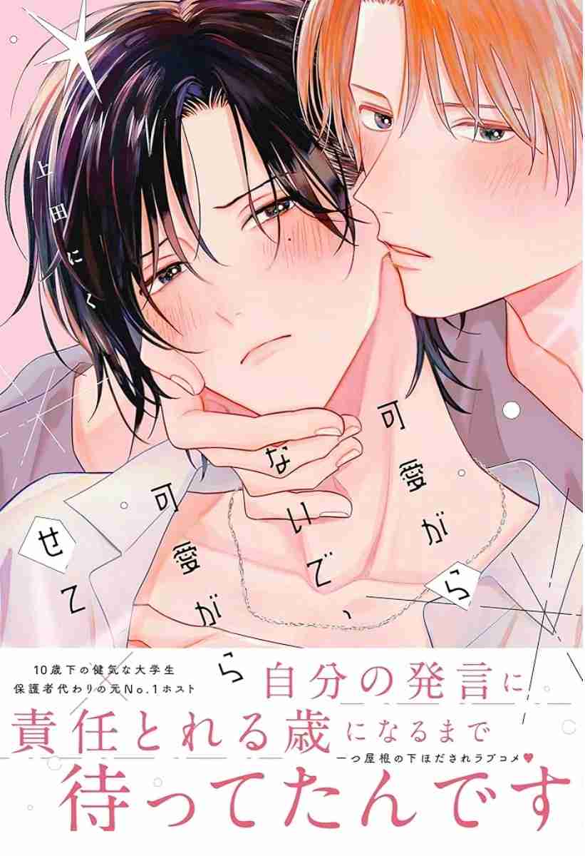 【定期】商業BLが好きな人 part 54【閲覧注意】