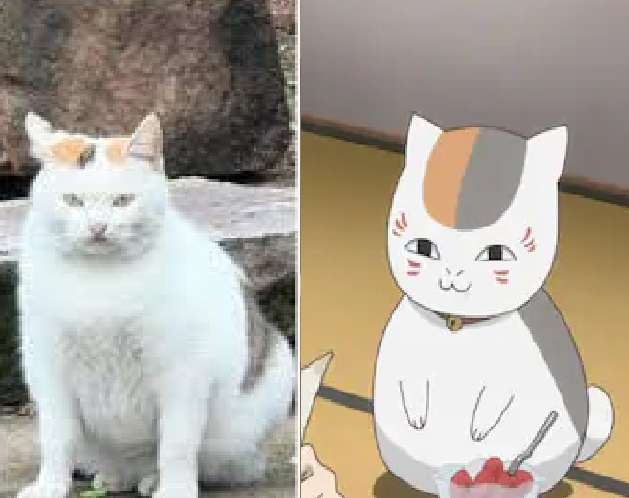 【夏目友人帳】色んなニャンコ先生が見たい