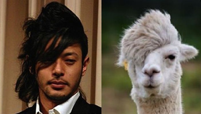 顔のパーツ配置が似てると思う芸能人