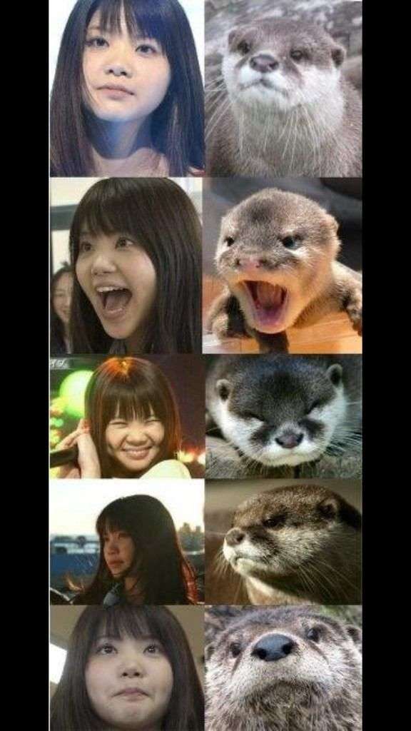 顔のパーツ配置が似てると思う芸能人