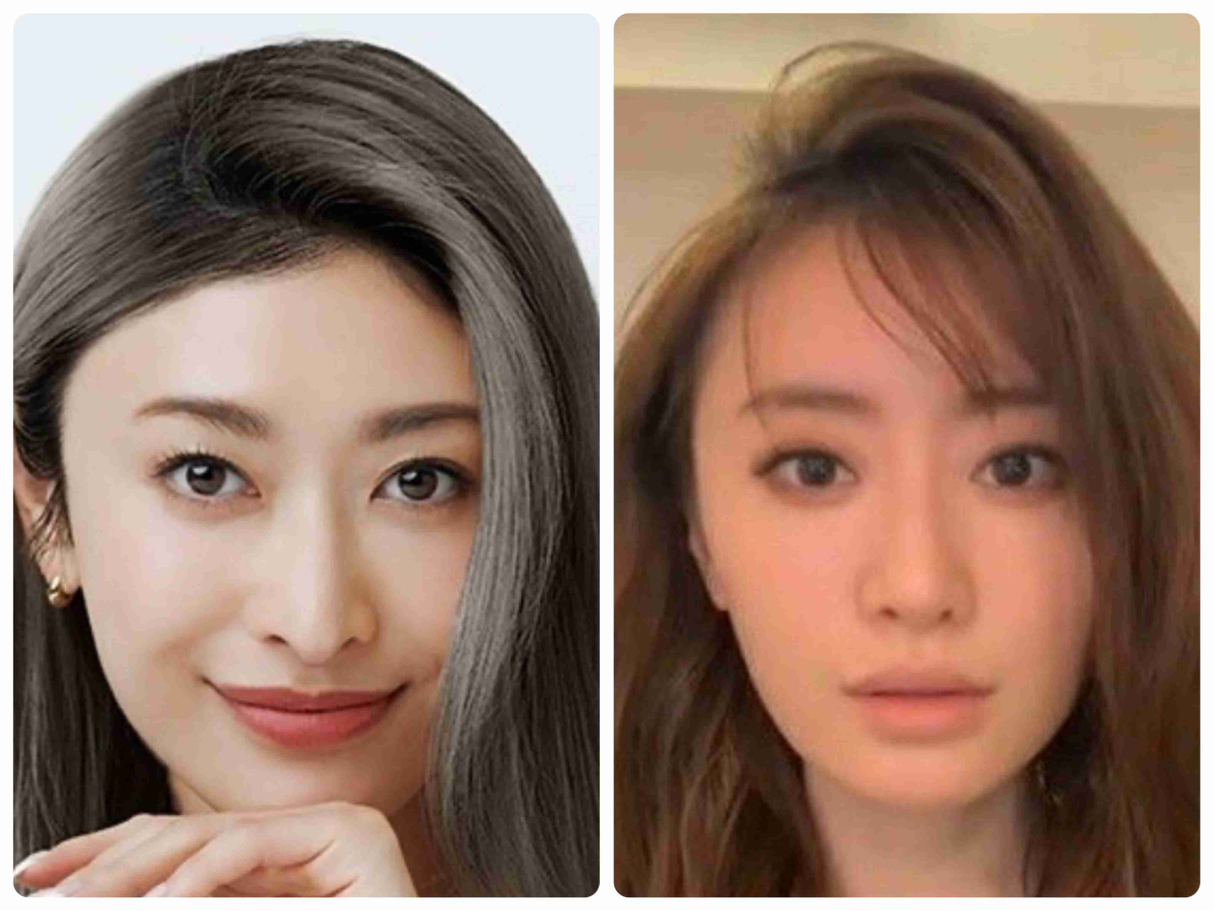 顔のパーツ配置が似てると思う芸能人