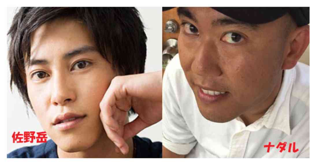 顔のパーツ配置が似てると思う芸能人