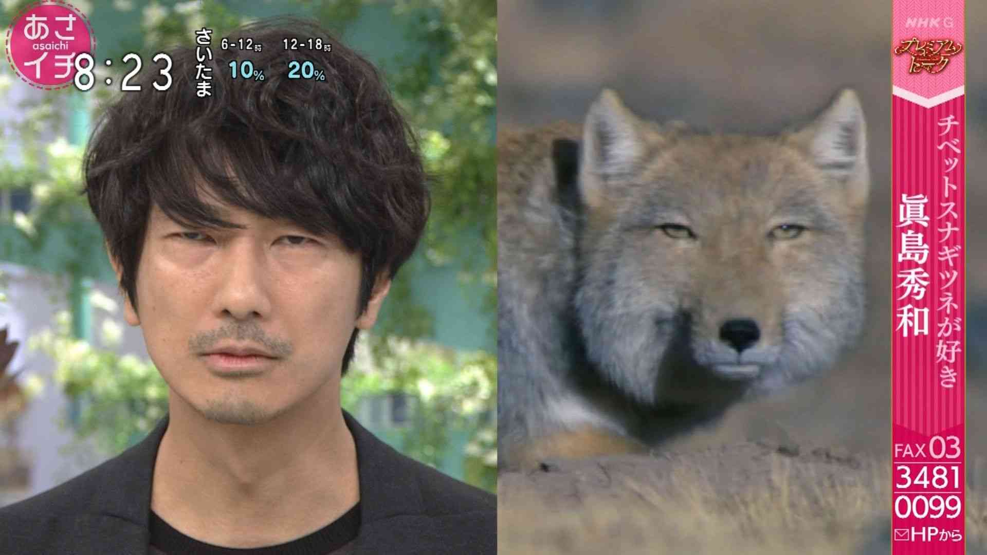 顔のパーツ配置が似てると思う芸能人