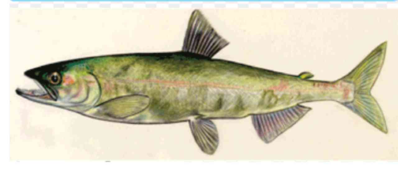 色んな芸能人の絵が見たい Part3