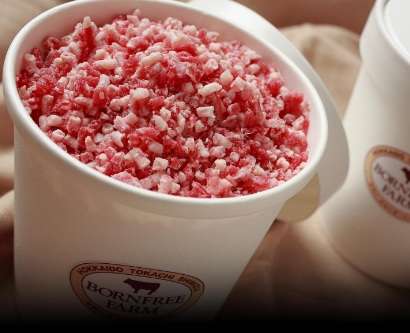 お取り寄せのおすすめ