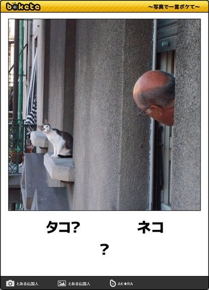 【常に】職場にカメラがついている【監視】