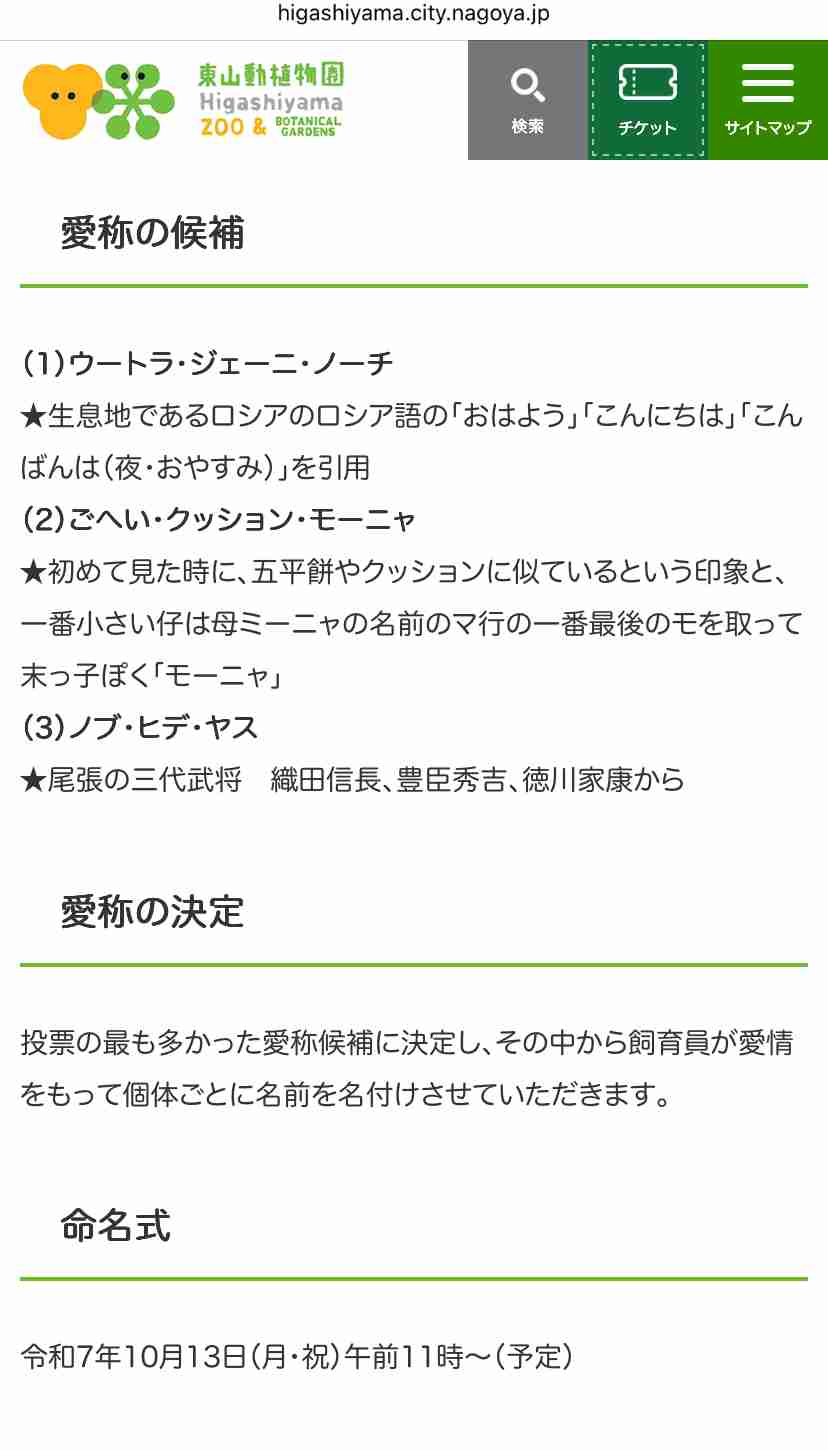 マヌルネコの赤ちゃん3兄弟、愛称は“ノブ・ヒデ・ヤス”に決定！名前の由来は…【名古屋市東山動植物園】