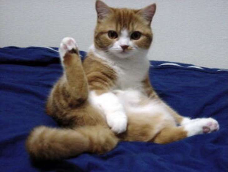 初々しかった自分を語ってみるトピ