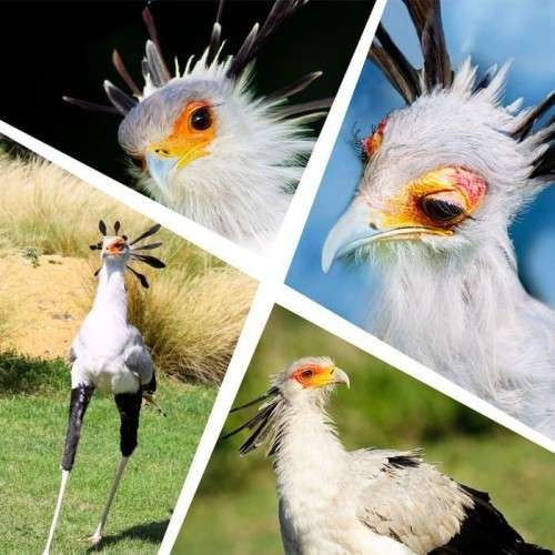 まつ毛サロンの探し方