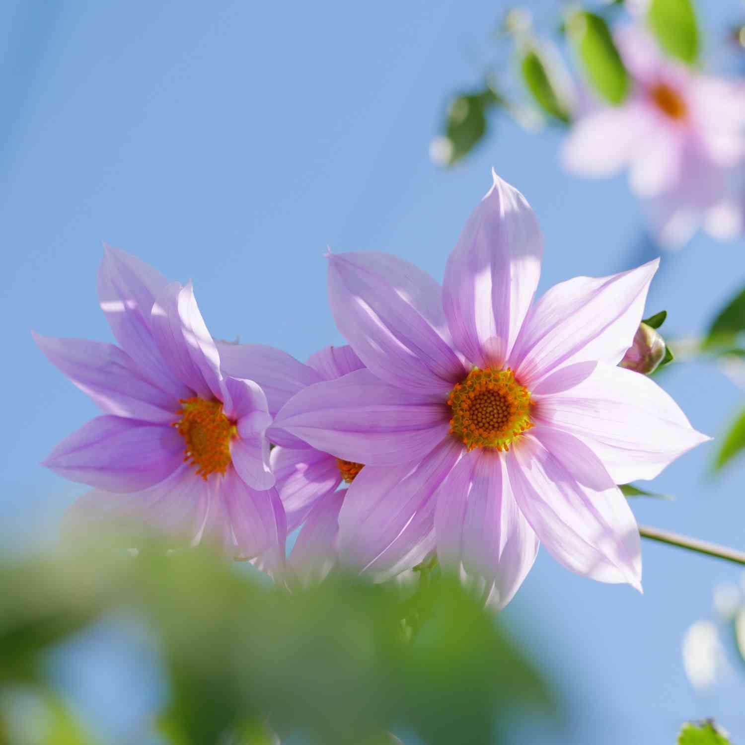 複雑性PTSDの方、いますか？