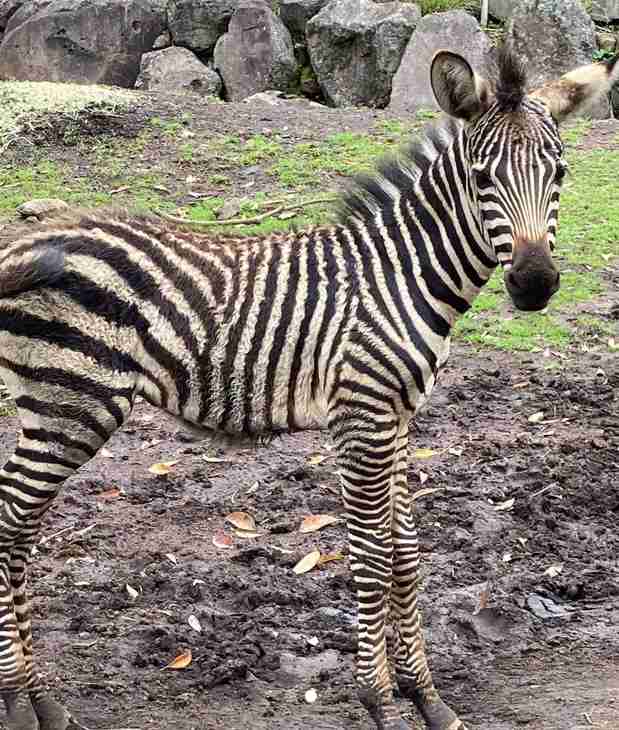 姉の名前が羨ましい