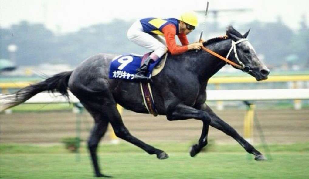 朝ドラの主人公になって欲しい人物