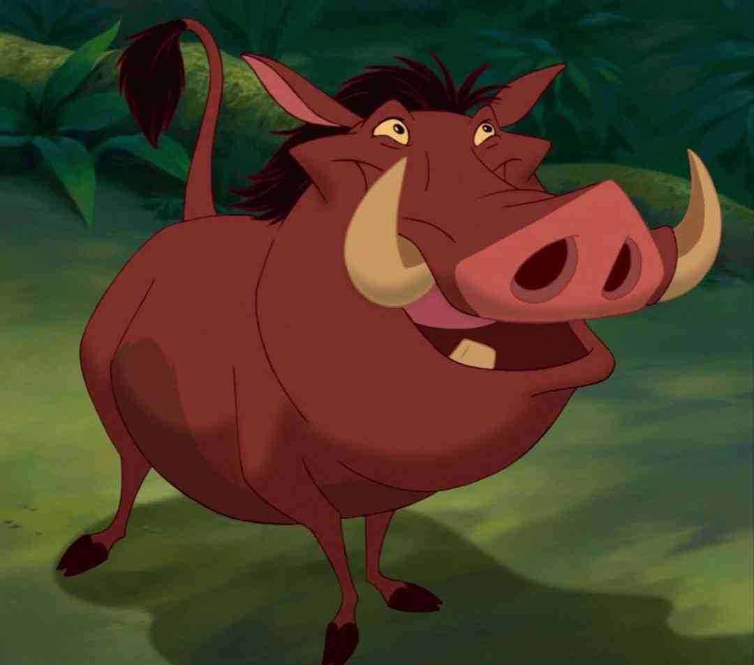 野生のクマ・サル・イノシシに遭遇した人