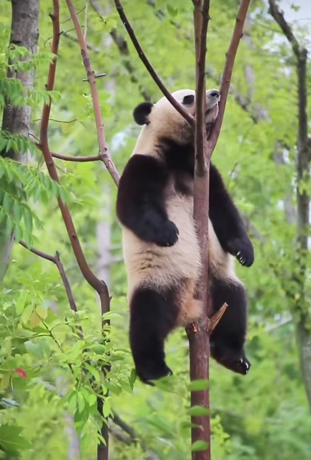 夢のせいで気分最悪(夢:睡眠の方)
