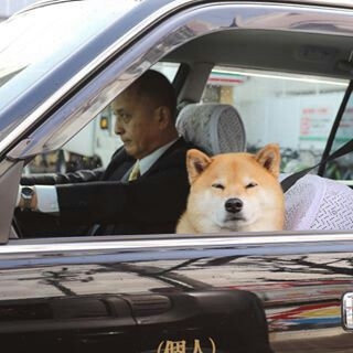 運転姿勢はどんな感じ?